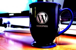wordpress customization